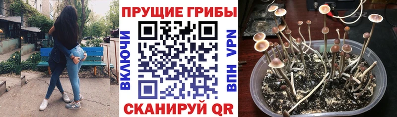 Галлюциногенные грибы мицелий  Протвино 