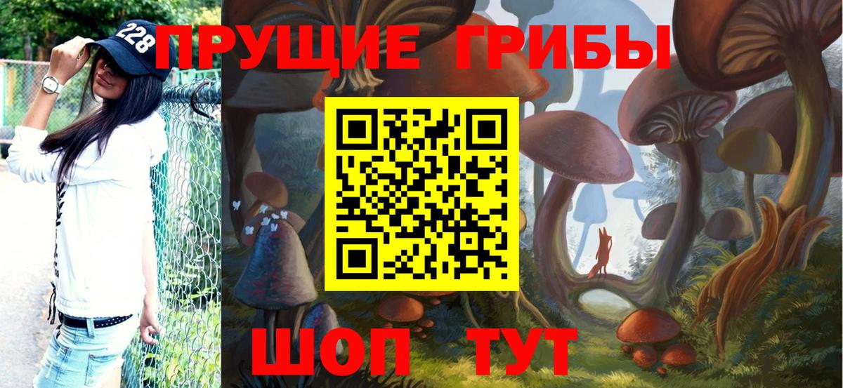 Протвино  Галлюциногенные грибы Cubensis  Вход с VPN 